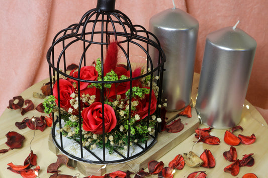 Love Cage V4