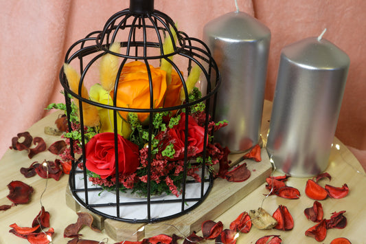 Love Cage V2