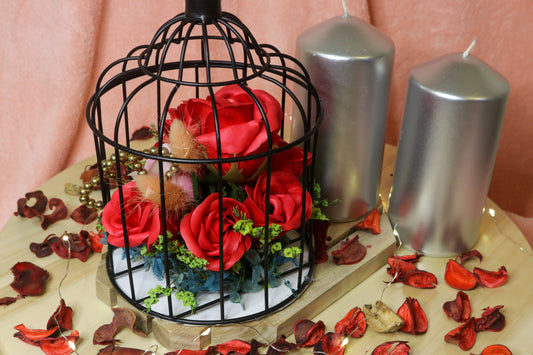 Love Cage V5