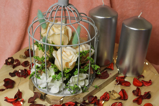 Love Cage V3